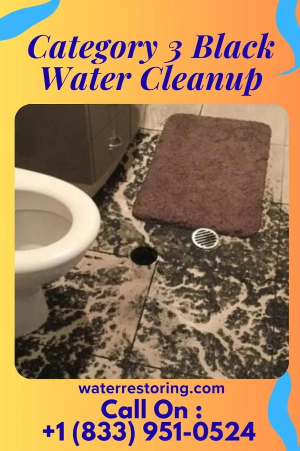 Category 3 Black Water Cleanup in Lafayette, VA