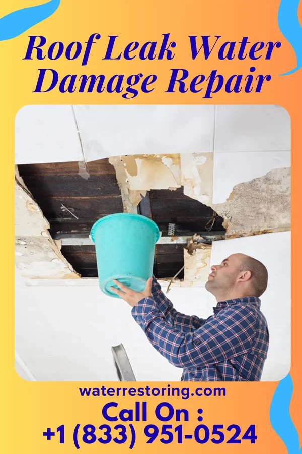 Roof Leak Water Damage Repair in Lafayette, VA