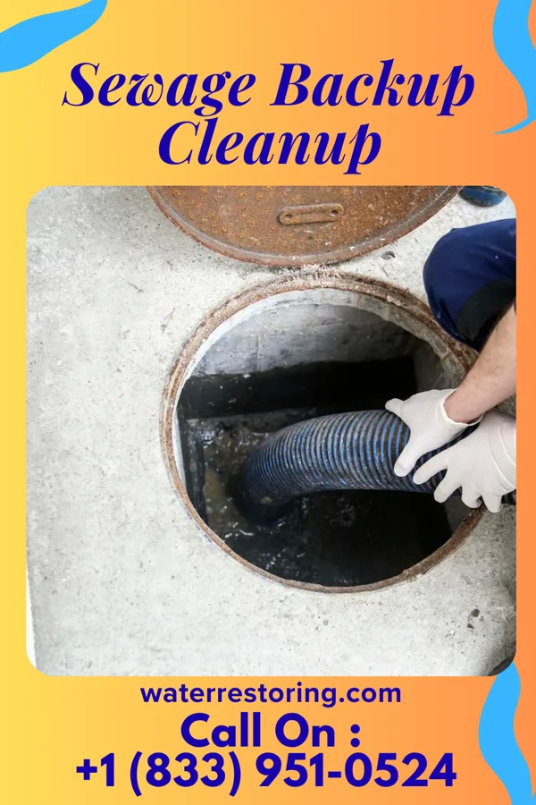 Sewage Backup Cleanup in Lafayette, VA