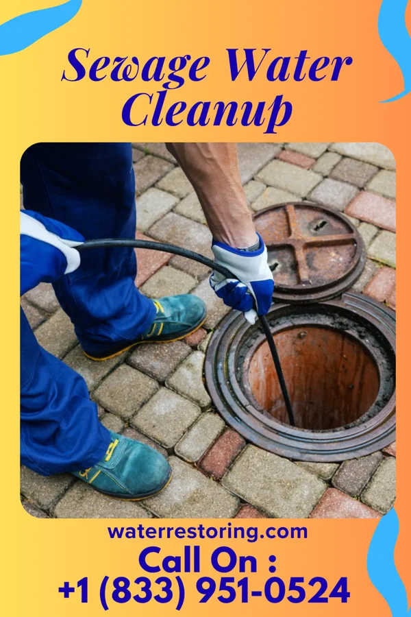 Sewage Water Cleanup in Lafayette, VA