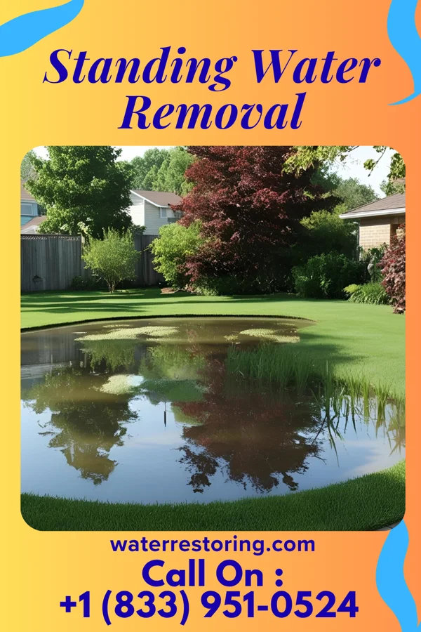 Standing Water Removal in Lafayette, VA